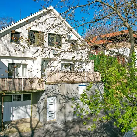 Vp Apartment
